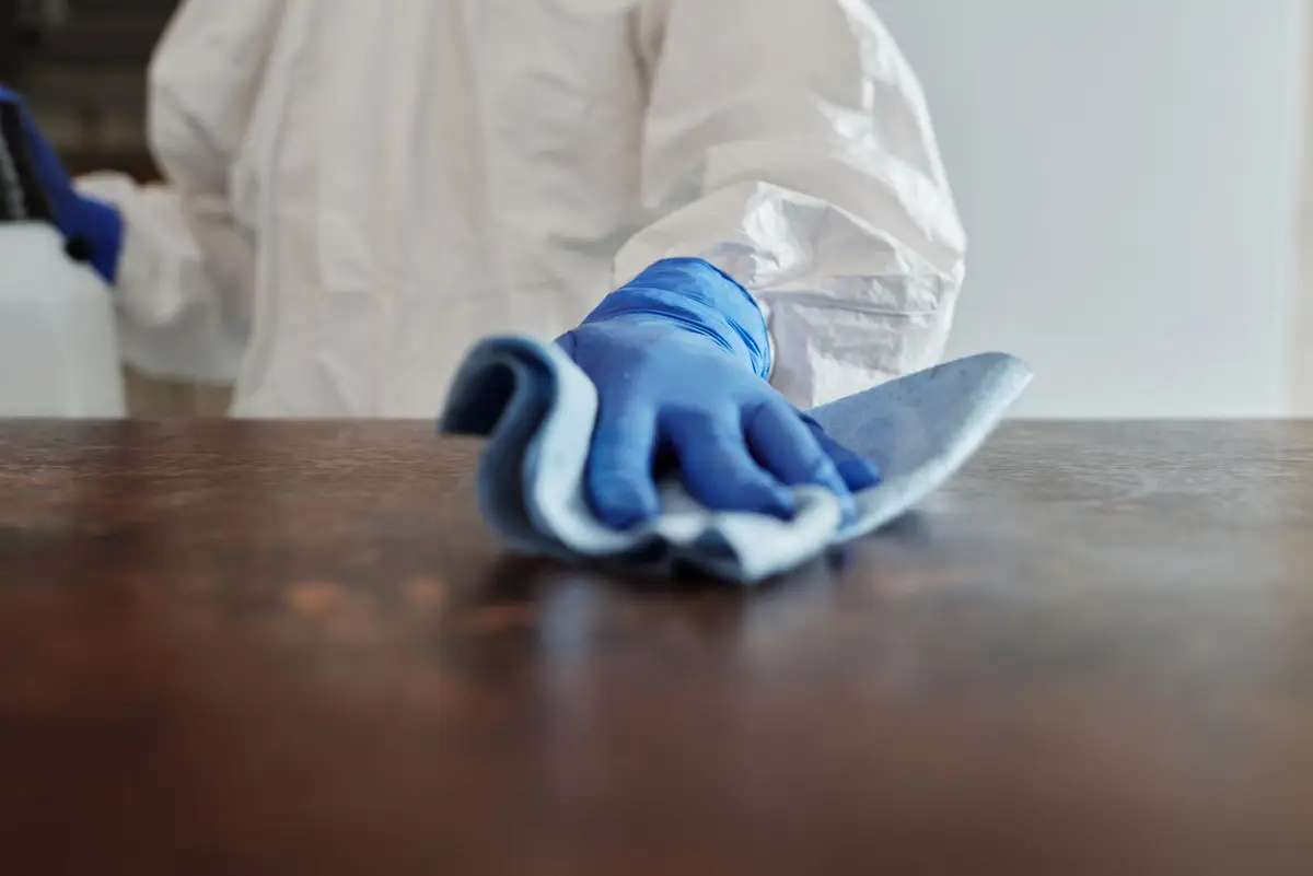 A housekeeper at work in a home